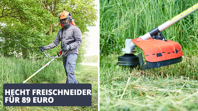 Hecht Freischneider