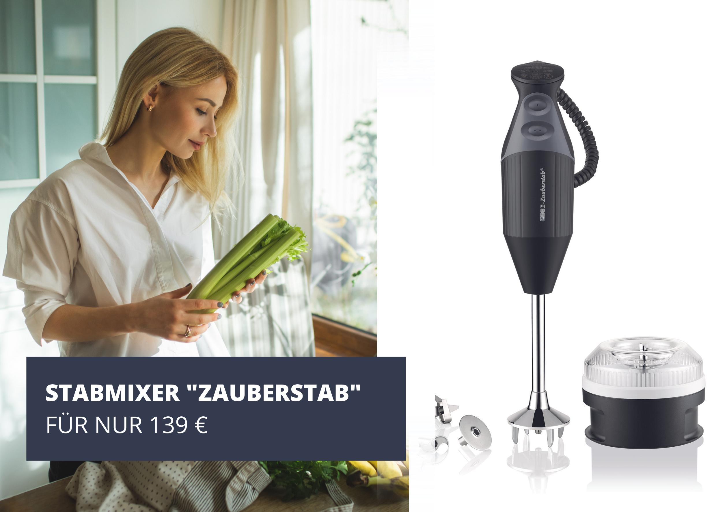 Stabmixer mit Zubehör